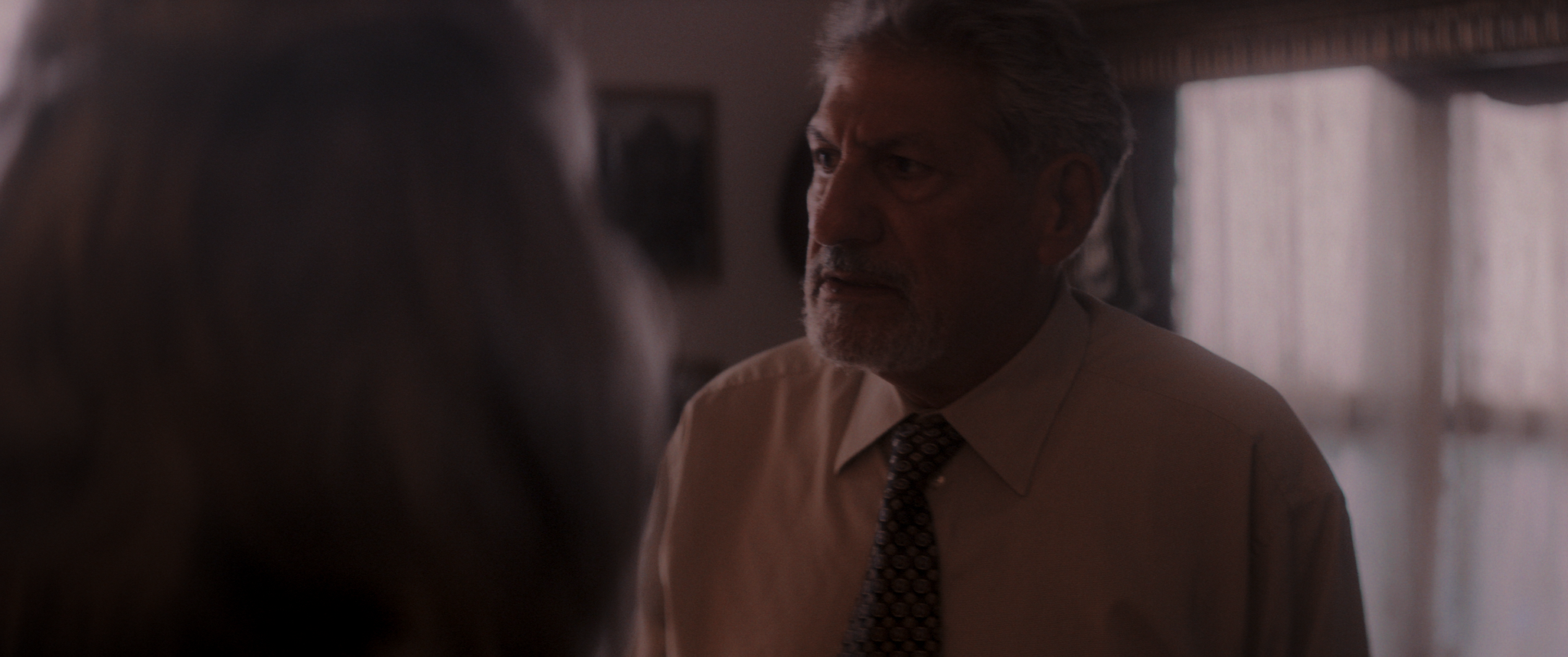 TWFH_FINAL_4_Festival Cut.00_08_33_16.Still045.png