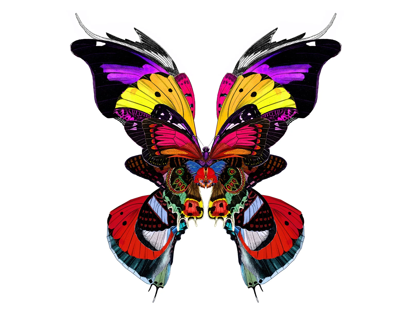  Kristjana S Williams | Fjoluraut 