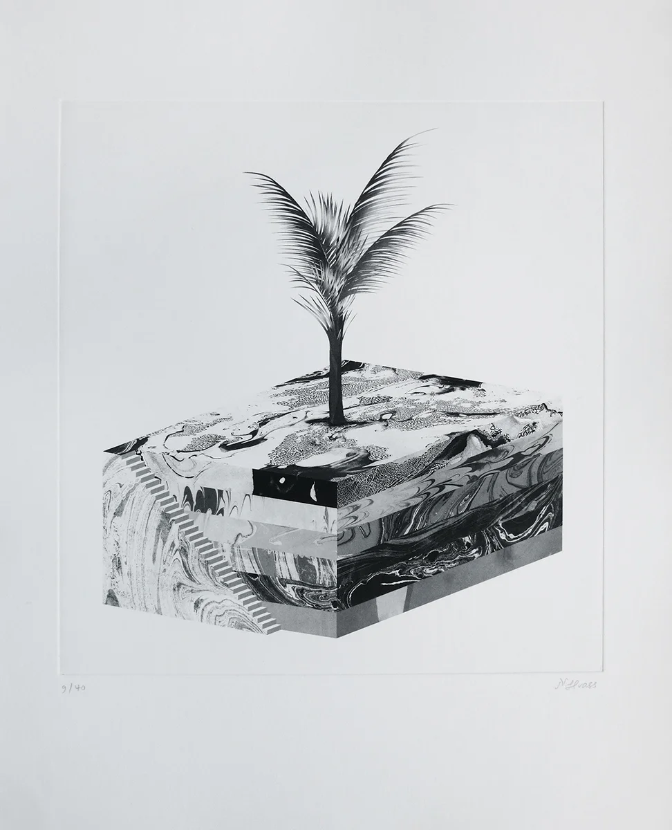 H&H nanhvass-photogravure1.jpg