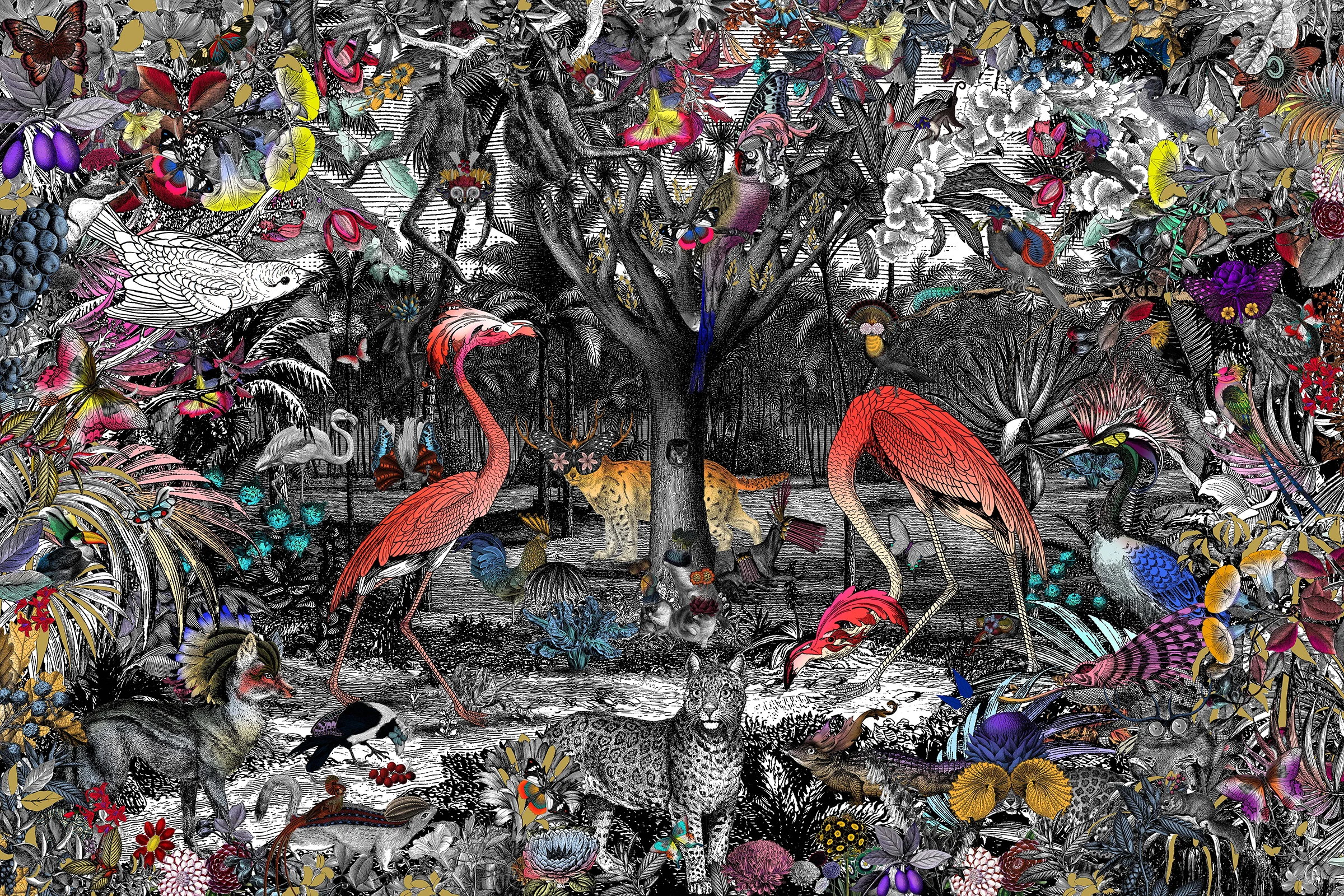  Kristjana S Williams | Columbian Jungle 