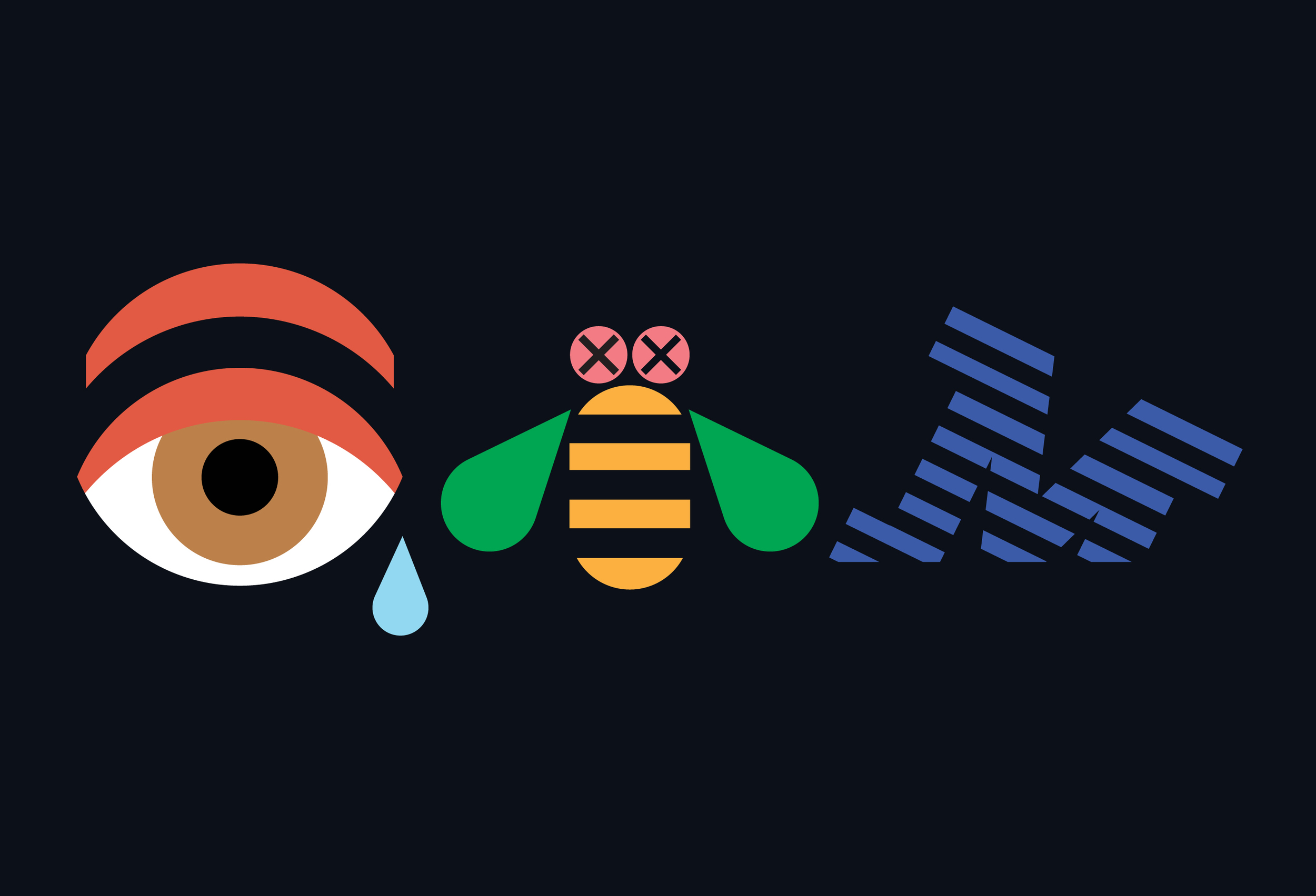 IBM Fortune Final crop.jpg