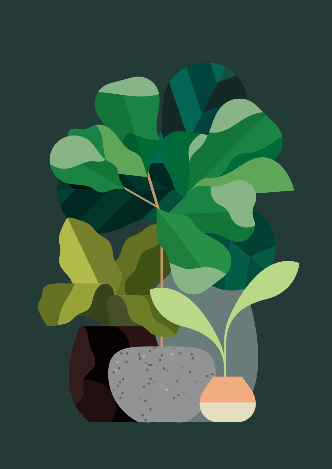 Rob Bailey | Plants (self-initiated)
