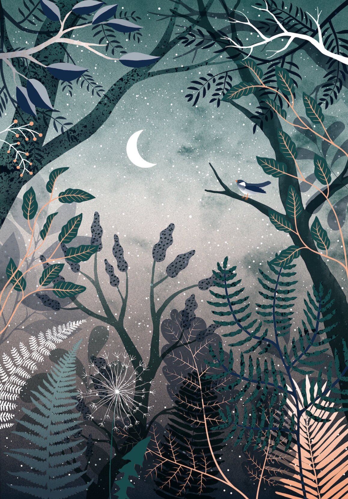 Hvass&Hannibal | Forest