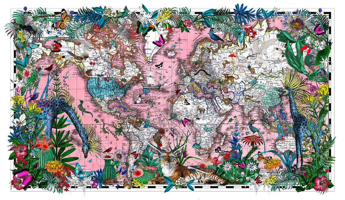  Kristjana S Williams | Sailing the Pink Sea 