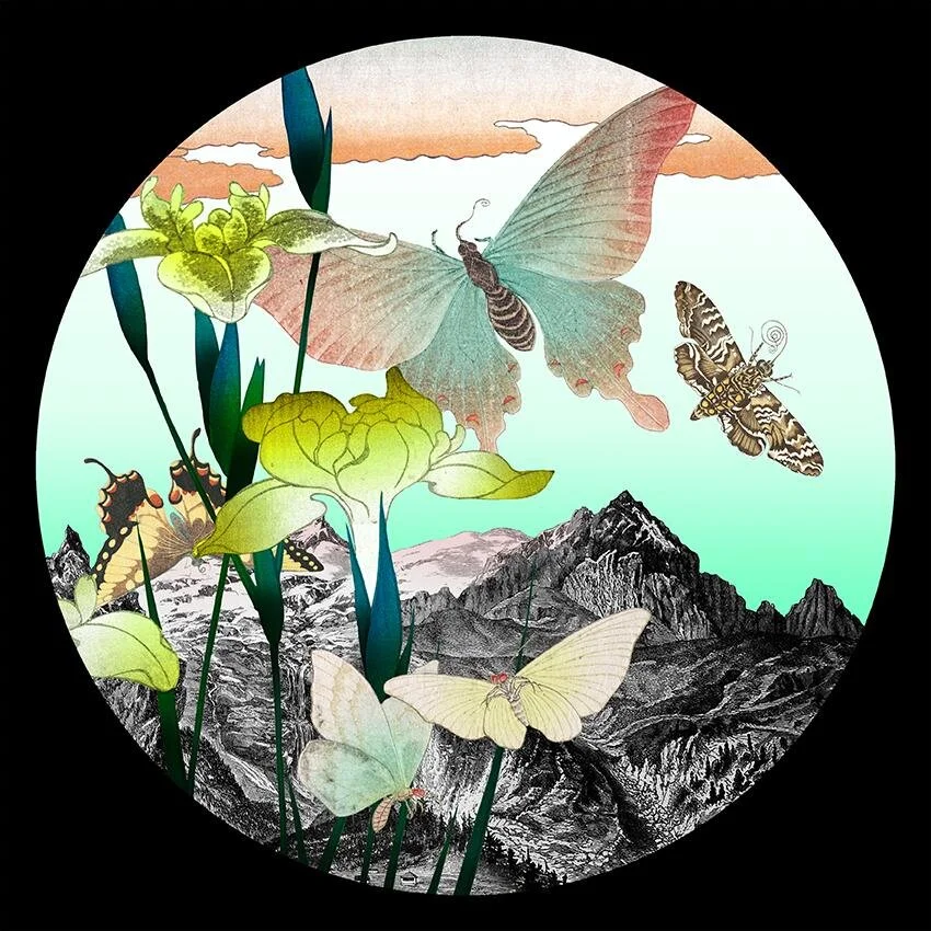  Kristjana S Williams | Japanese Woodcut Butterfly 