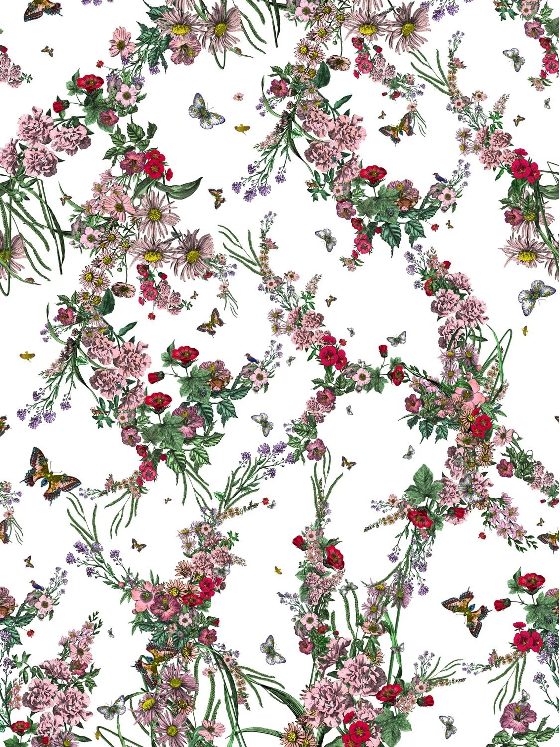 KSW klifur bloom.jpg