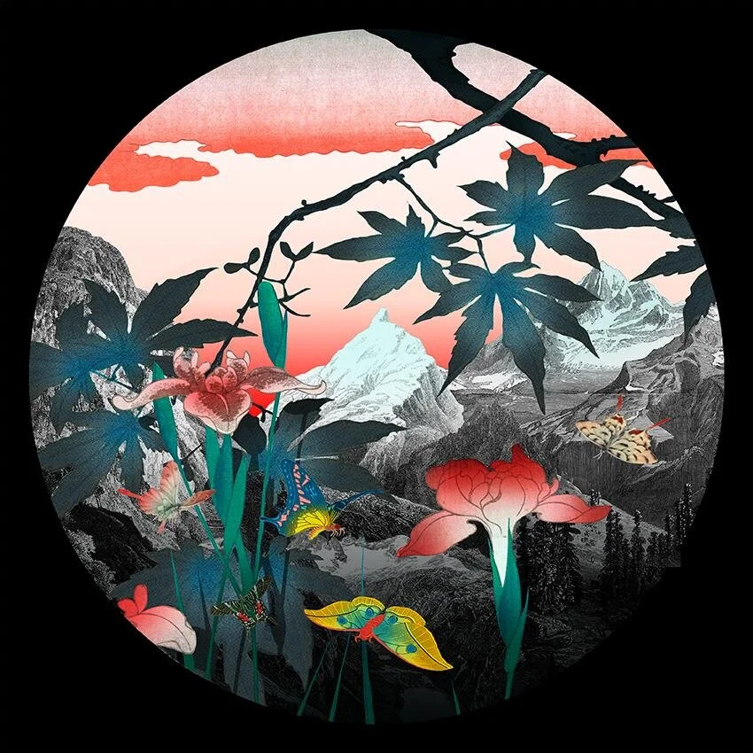 KSW red butterfly.jpg