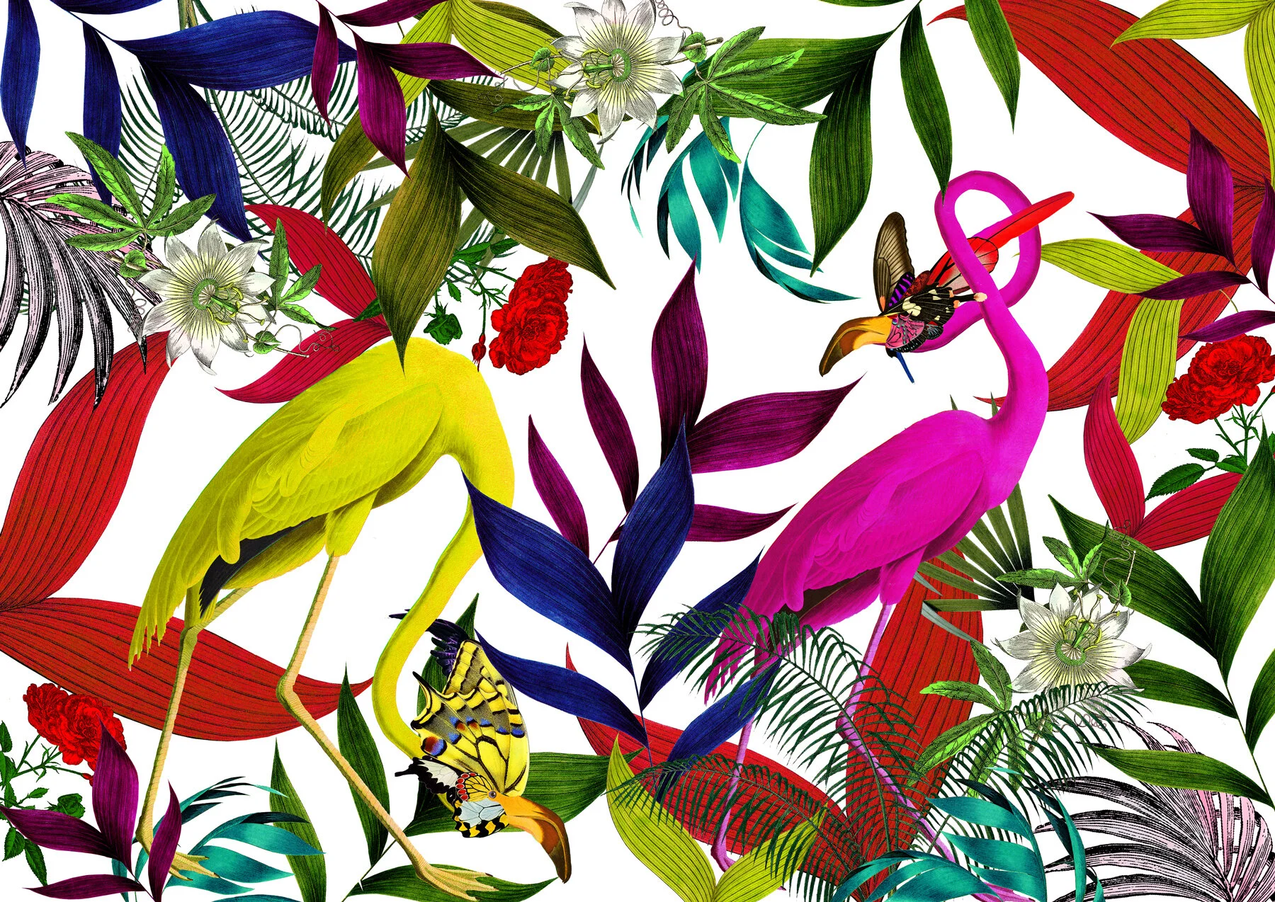  Kristjana S Williams | UI In Bloom, Seoul, Korea 