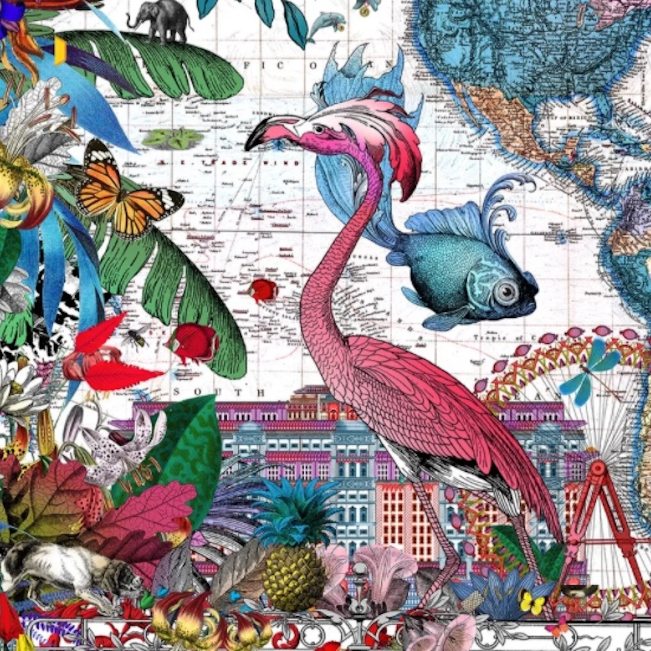 KRISTJANA S WILLIAMS