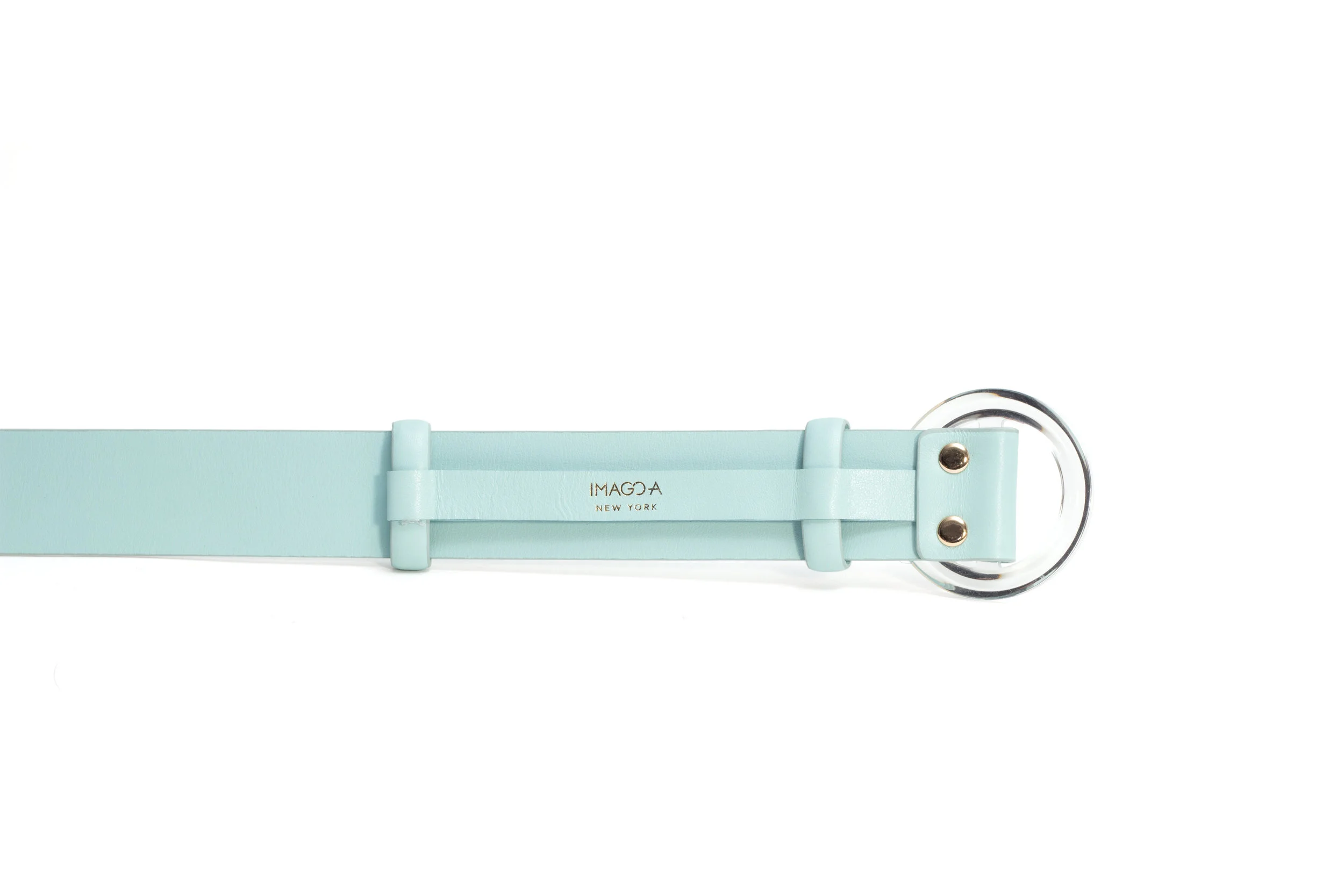 SS18_LuciteBuckleBelt_Mist_Back.jpg