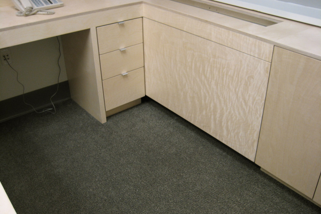 tshapeddoctorsOffice-02.jpg