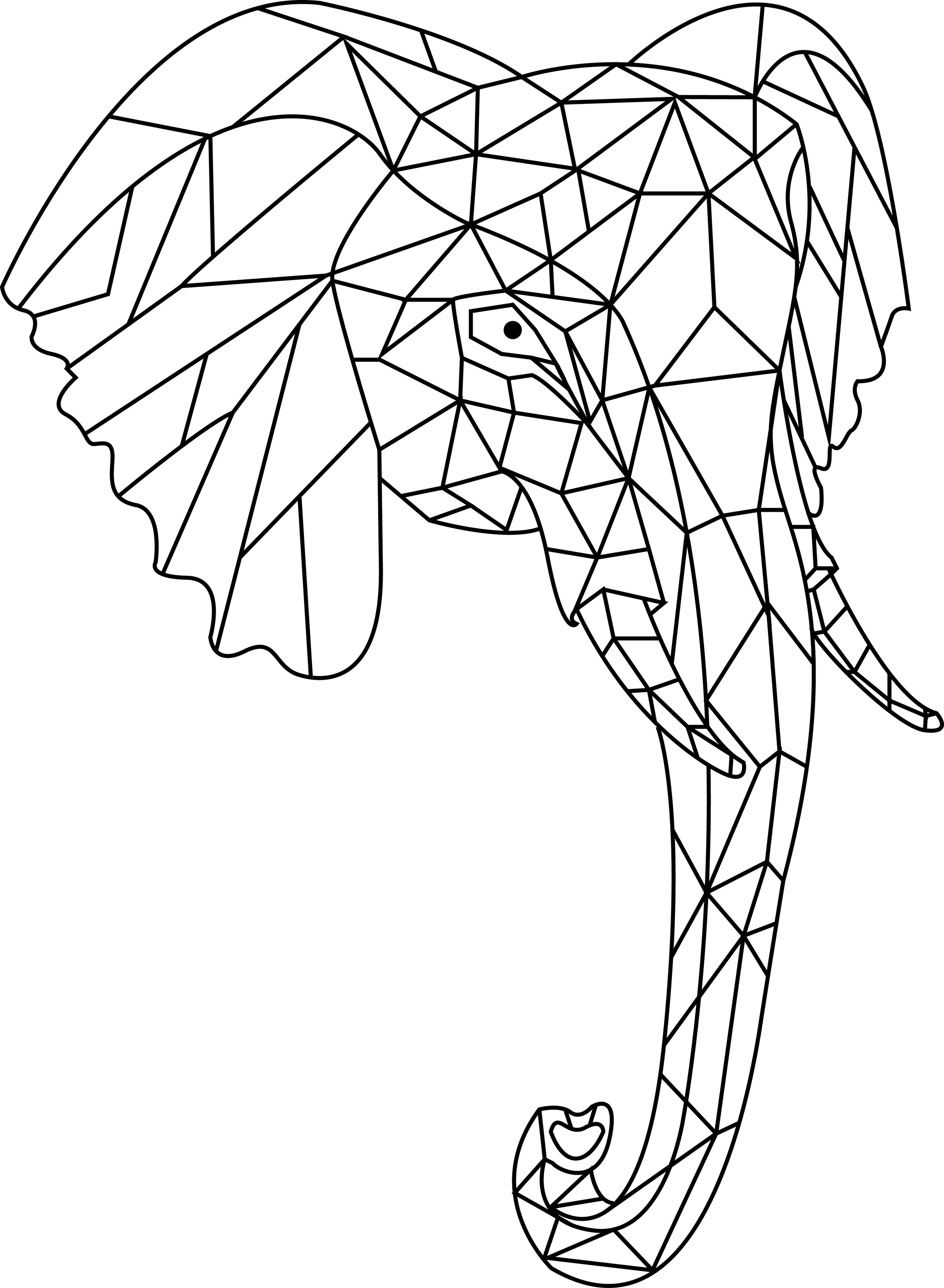 Elephant Shirt Design for Mad Moon Clothing