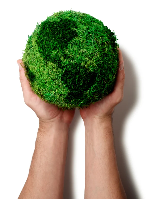 iStock_000005655654Small.jpg