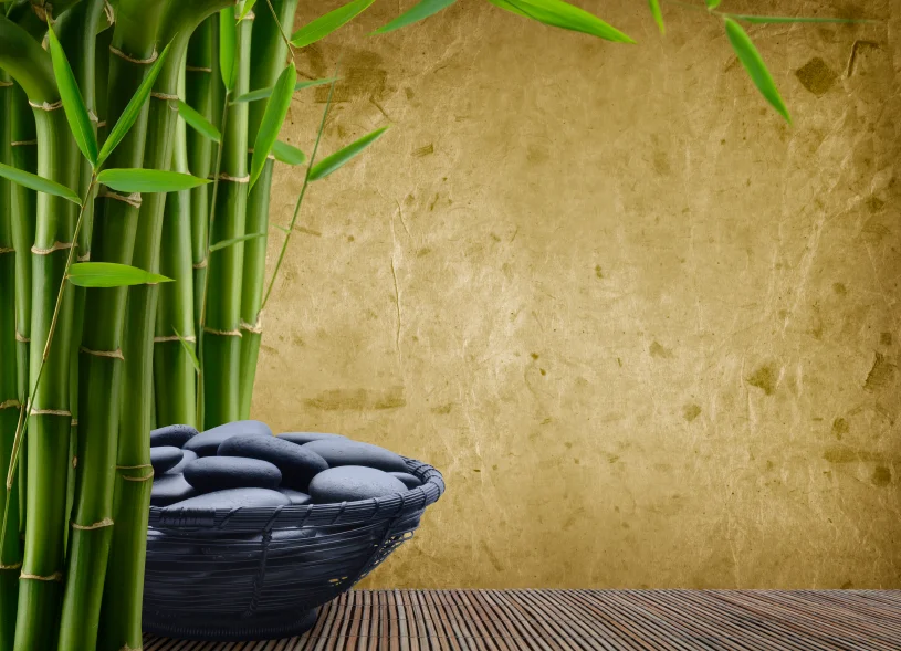 iStock_000005153219Small.jpg