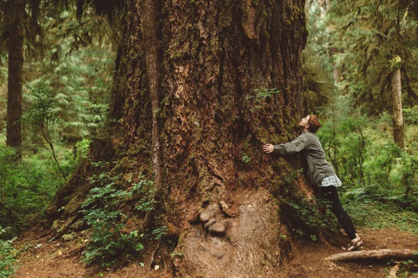 Hoh Rainforest was so breathtaking. Everything was green! I didn't snag that many pictures because I wanted to just take it all in. 
