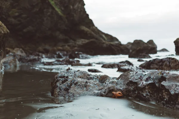 We camped at La Push beach one night. We woke up and realized the water was about 10 feet from our tent at some point. Glad I slept through that one. 