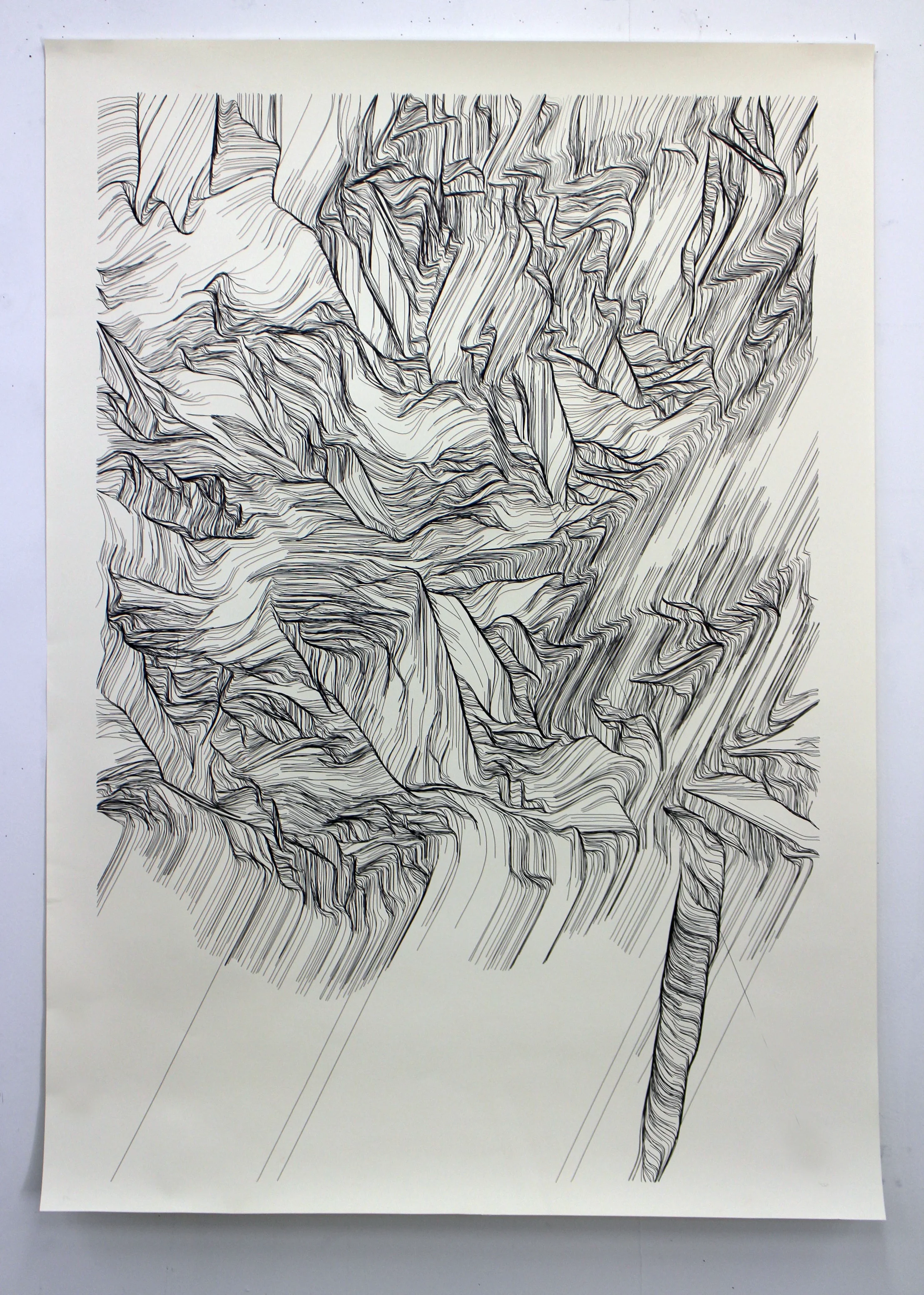 Iona Series: Peg, 2017. Pen and ink on paper, 30"x46". In collaboration with Clive McCarthy. https://www.howe-mccarthy.com/