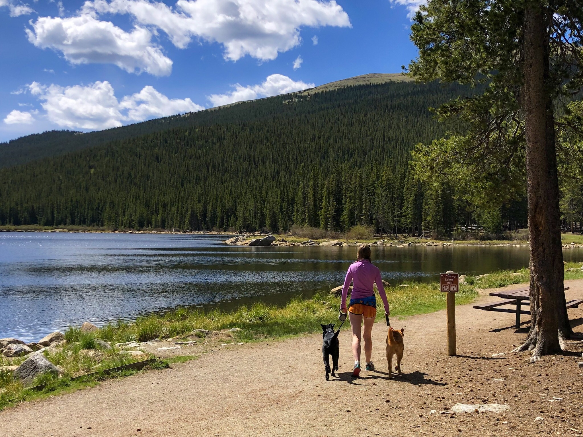 Echo Lake offers picnicking, fishing, hiking, and views that make your heart happy. ©Suzanne Brown 2019