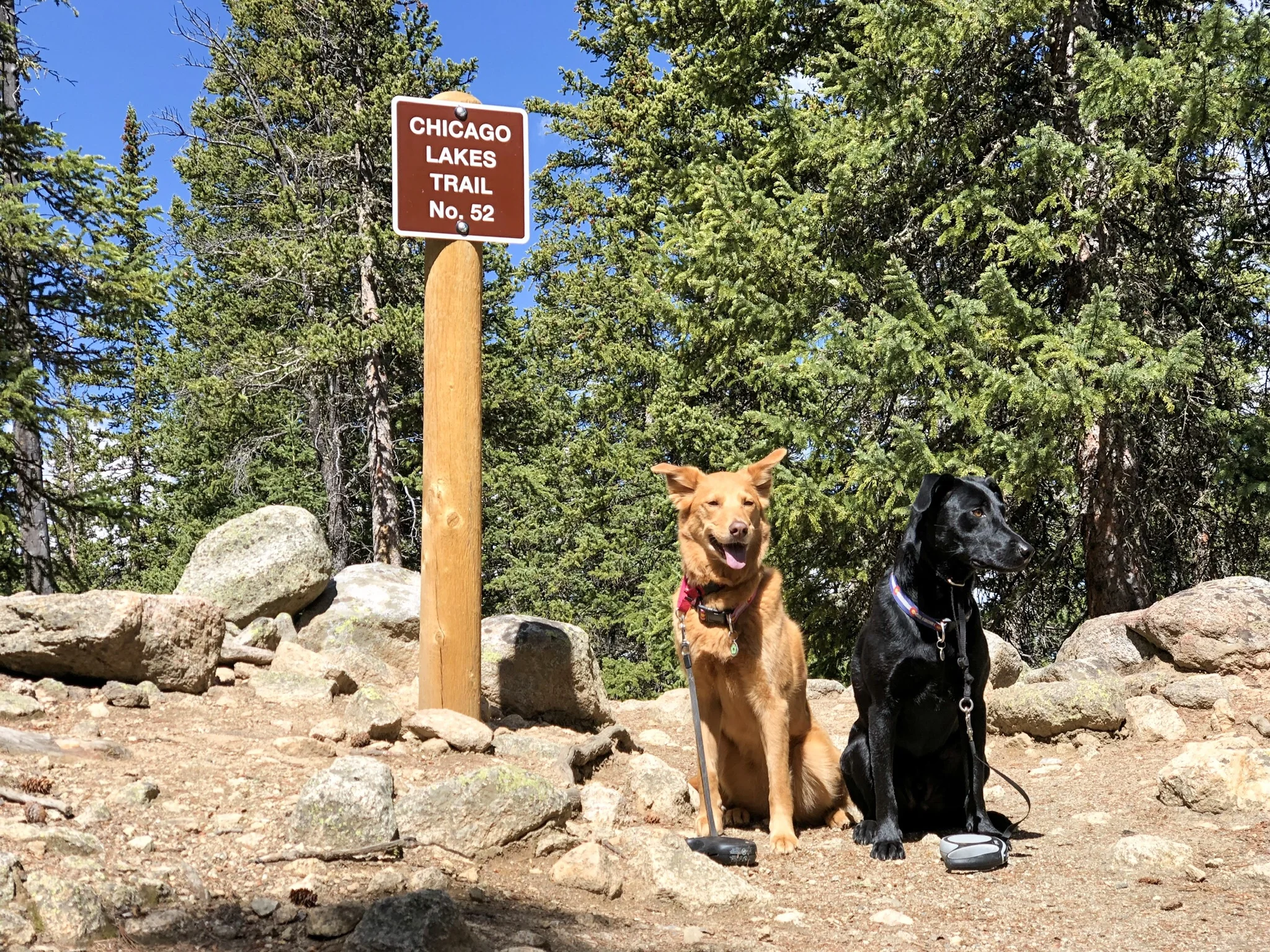 This sign for Chicago Lakes is about half-mile from the Echo Lake parking area. ©Suzanne Brown 2019