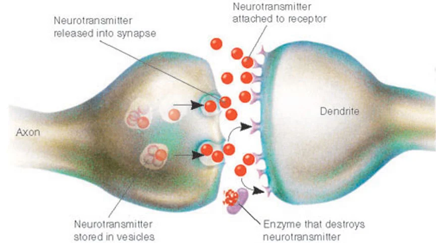 http://www.txtwriter.com/backgrounders/Drugaddiction/drugs1.html