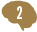 Brain2-4-tiny.png