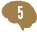 Brain5-4-tiny.png