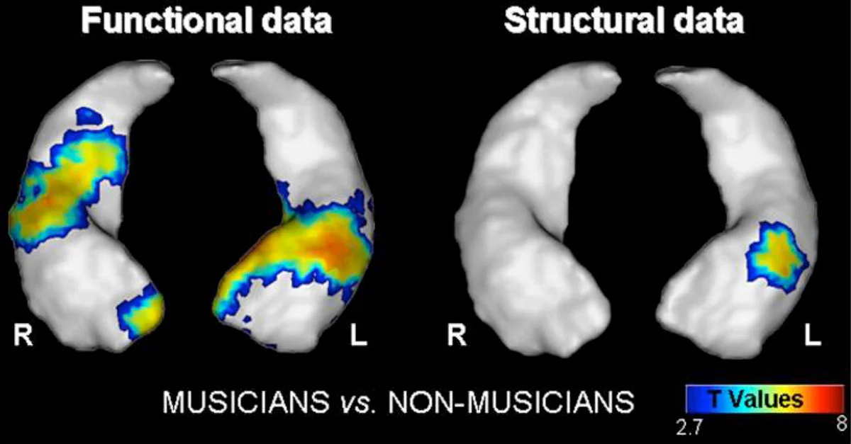 Hyde et al., Journal of Neuroscience, 29:3019-25, 2009 | Groussard et al. PLoO One 5:e13225, 2010