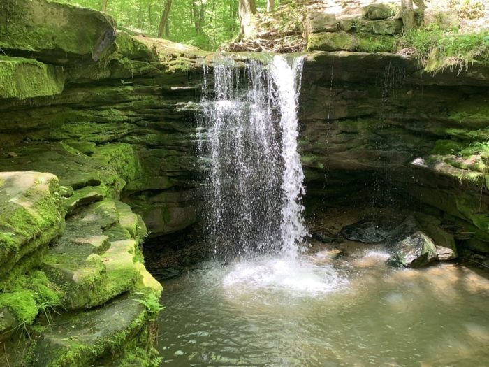 Beach City Adopt-a-Crag