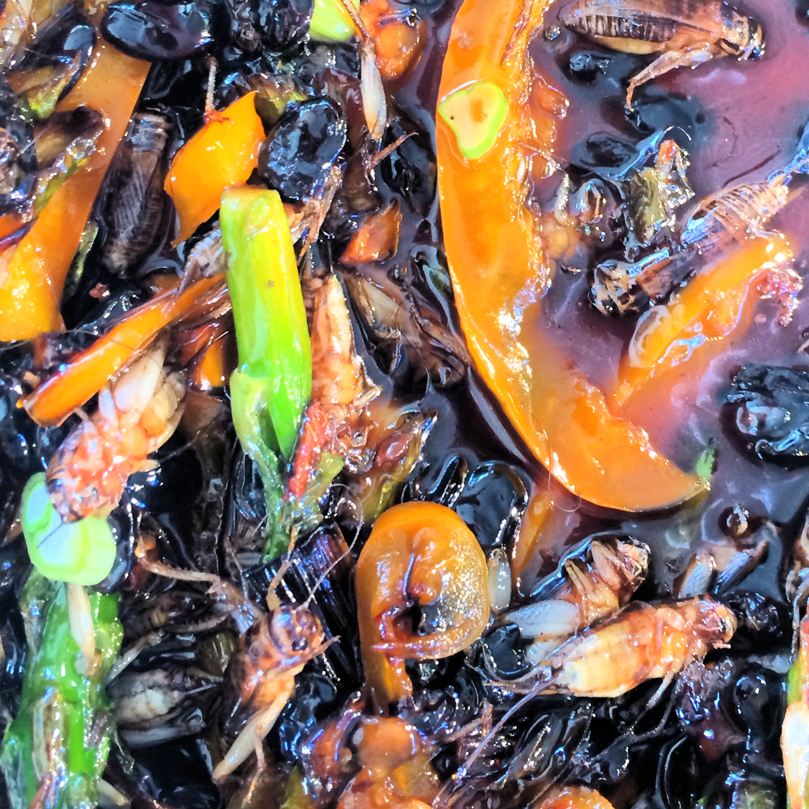 Cricket stir-fry!