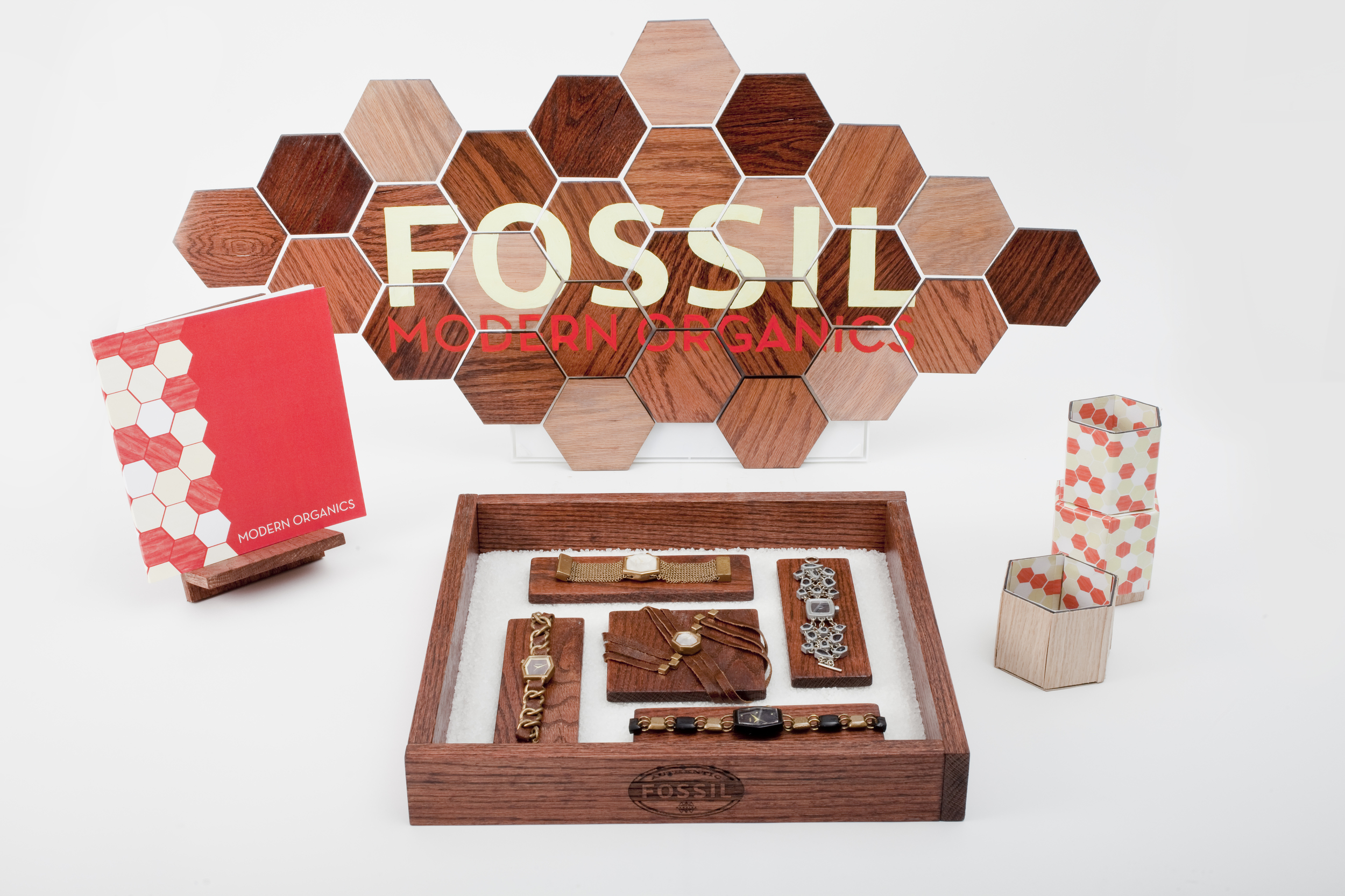 FossilProject_04_DB.jpg