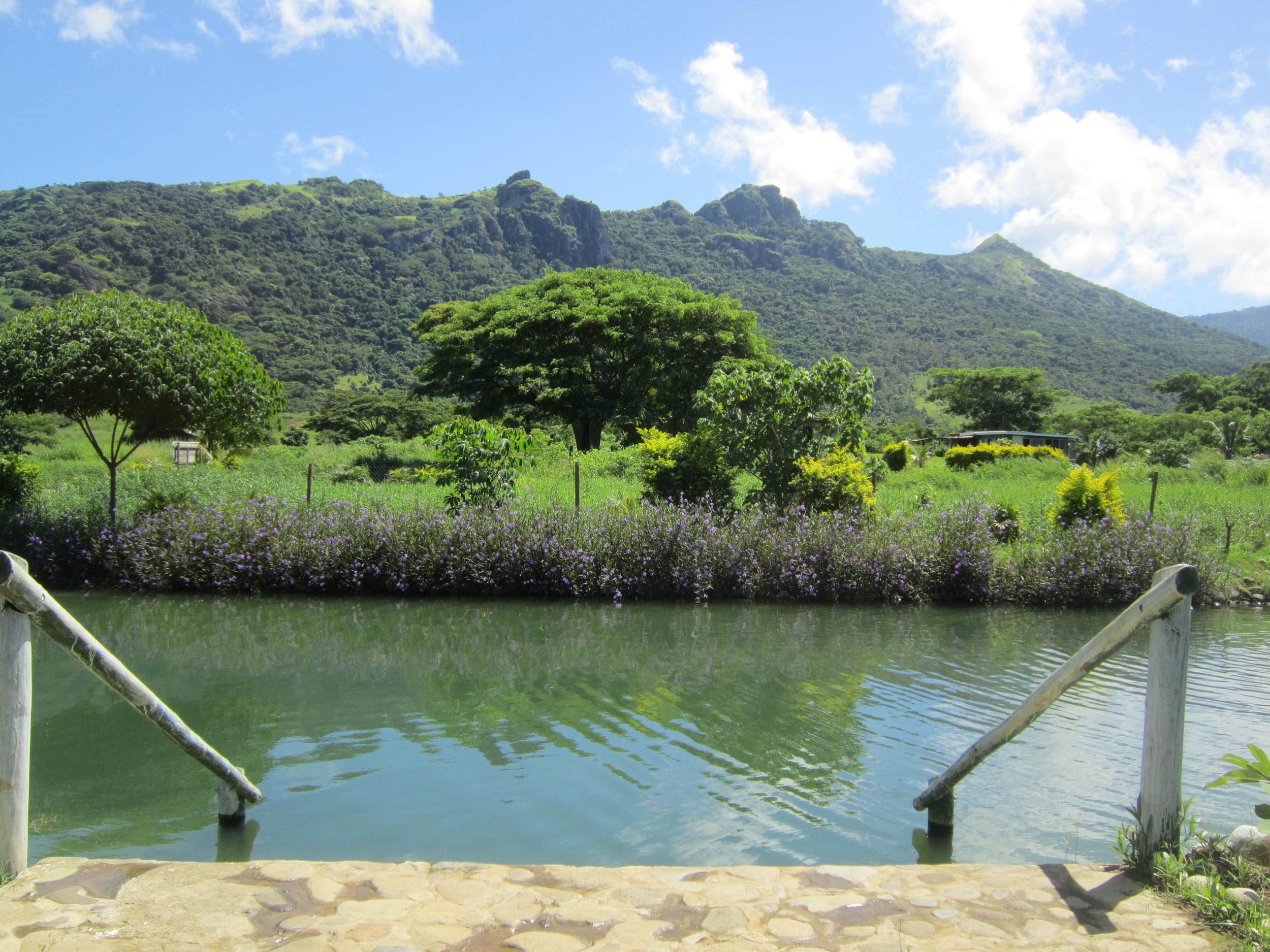 After treating yourself to an all-over hot mud pack you can relax in the mineral waters of the Sabeto Hot Springs. (Photo credit: Cherri Megasko)