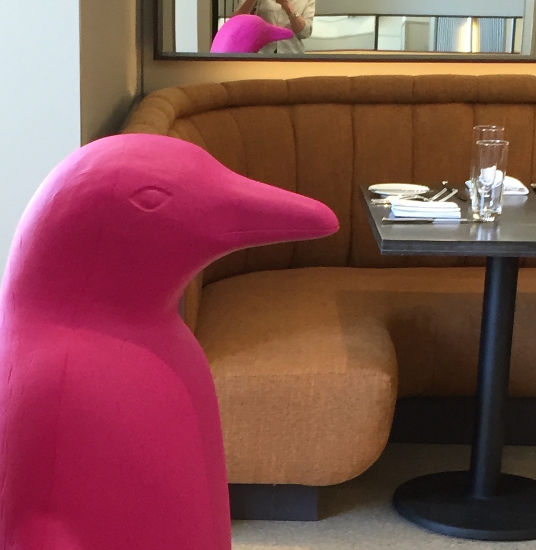 Fuschia for Durham 21C's iconic penguin . 