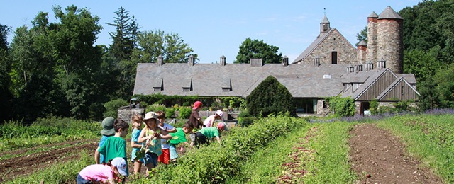 Kids camp in the vegetable farm at Blue Hill at Stone Barns. (Photo credit: Stone Barns Center)