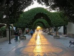 images-3.jpg