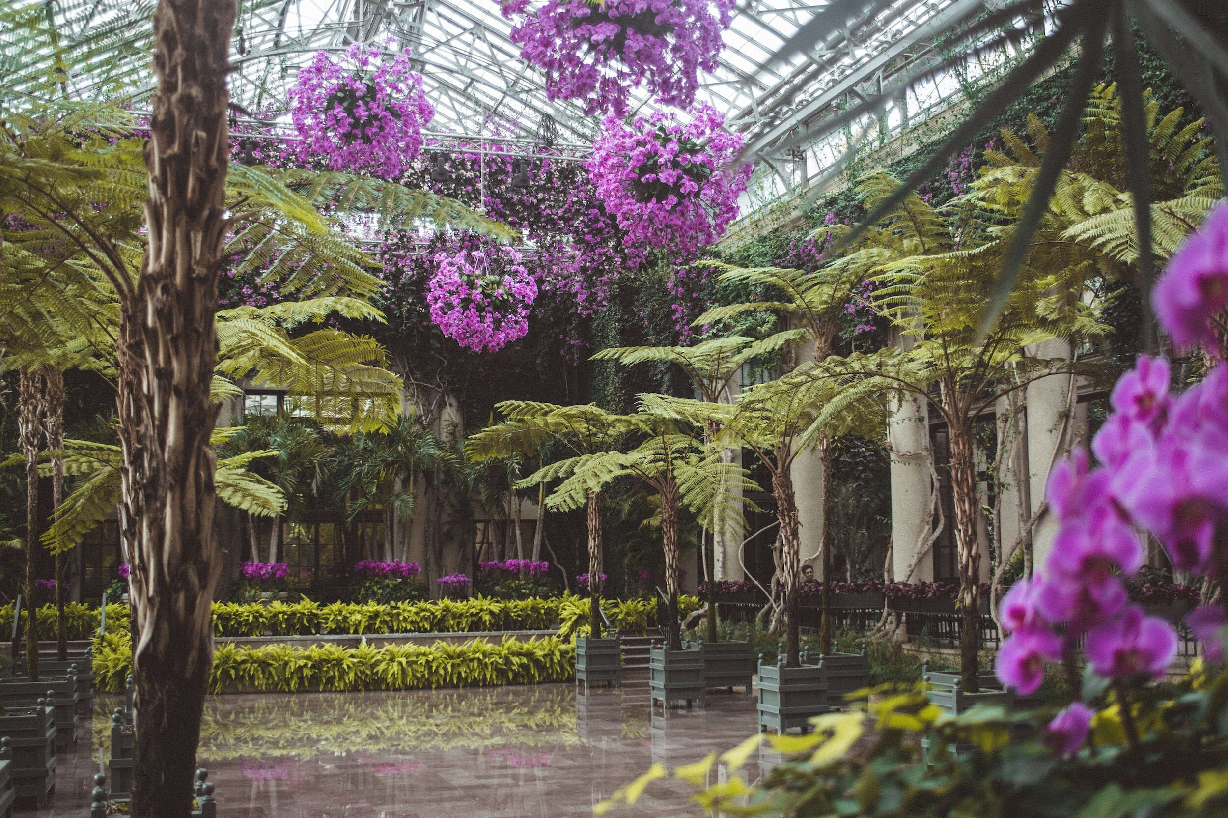 Philadelphia Botanical Gardens Fasci Garden