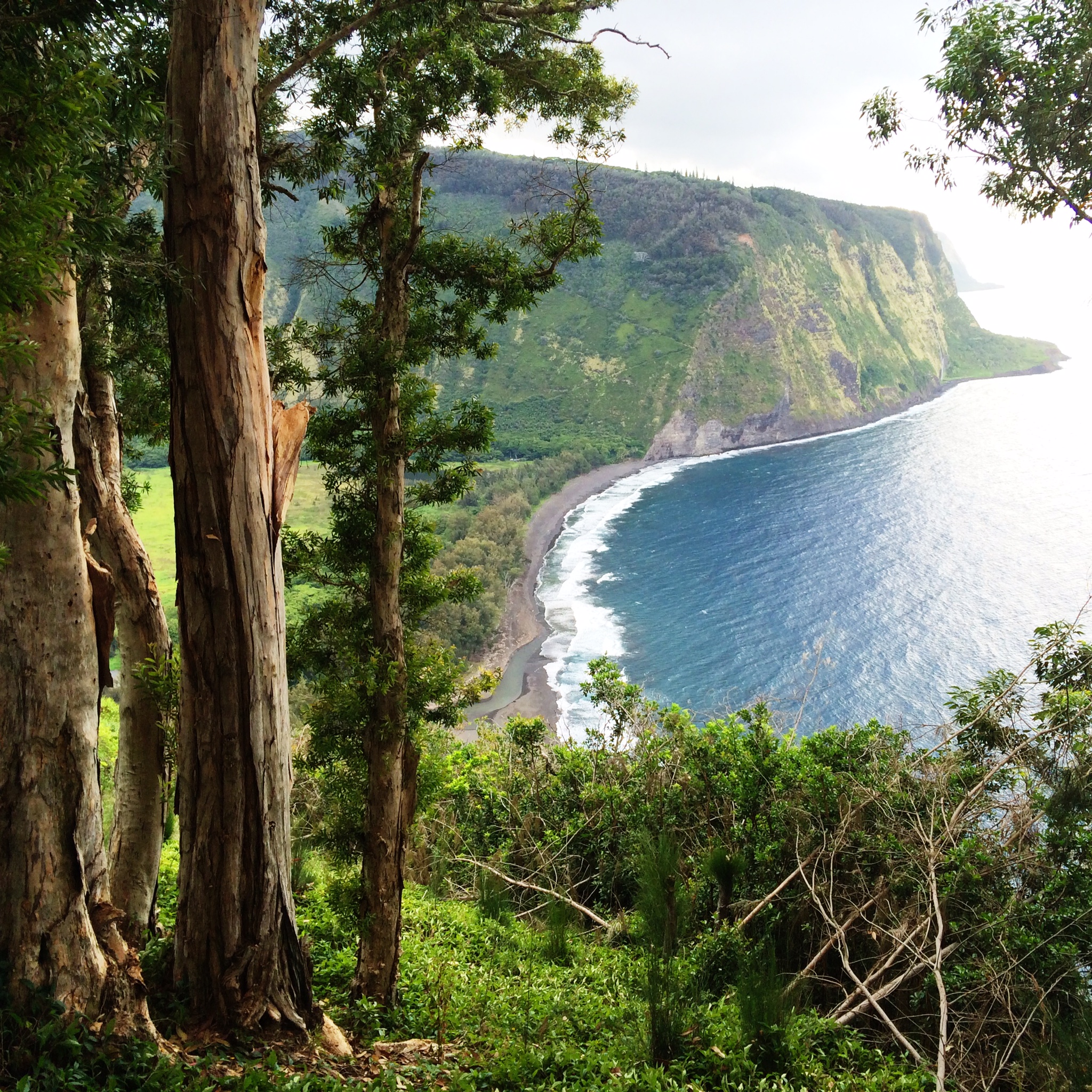 Hawaii Island hiking