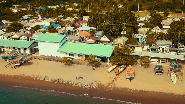 Director / DP / Editor