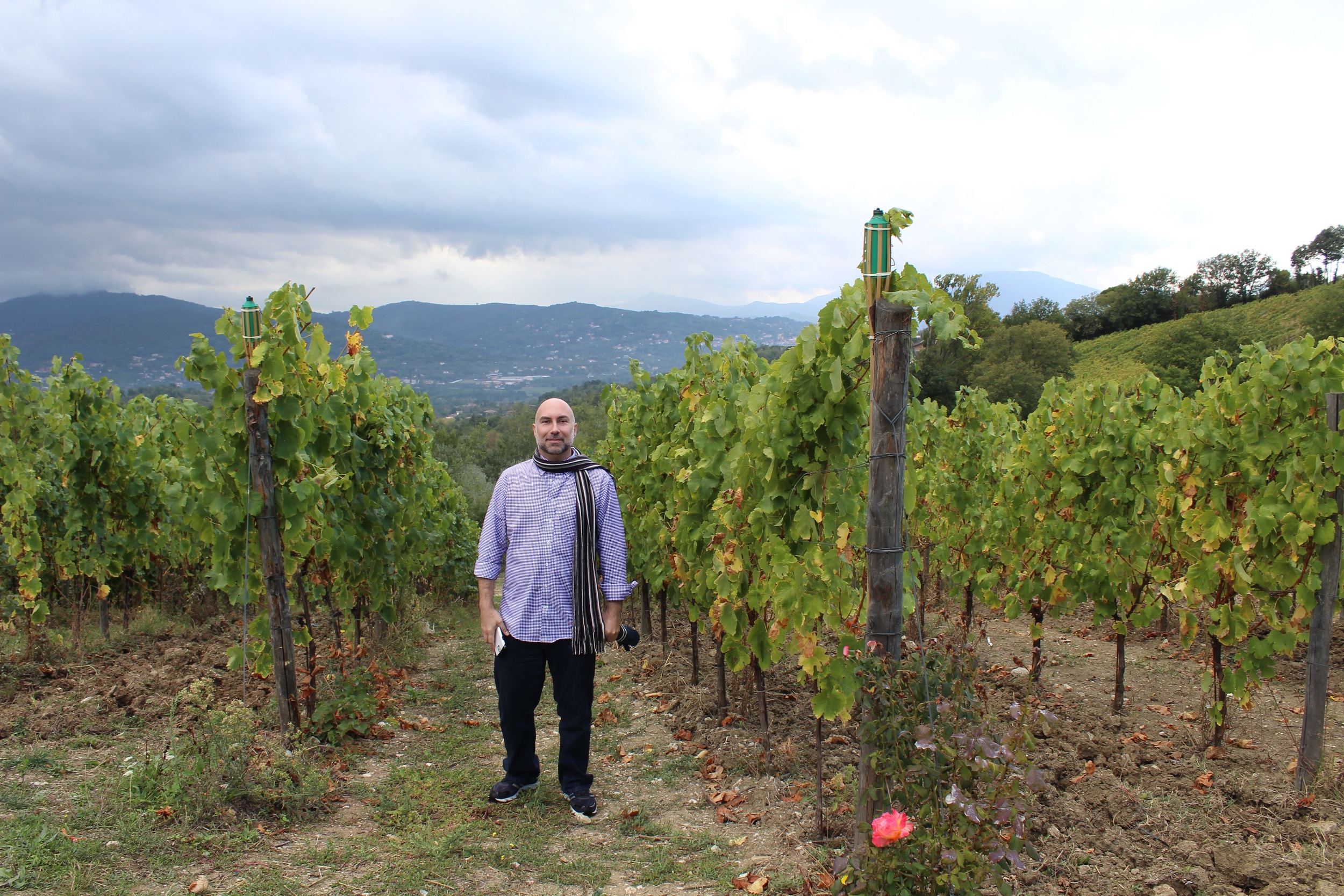 Irpinia vineyards