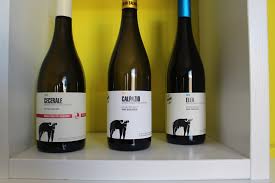 Why You Should Drink San Salvatore Wine Right NOW