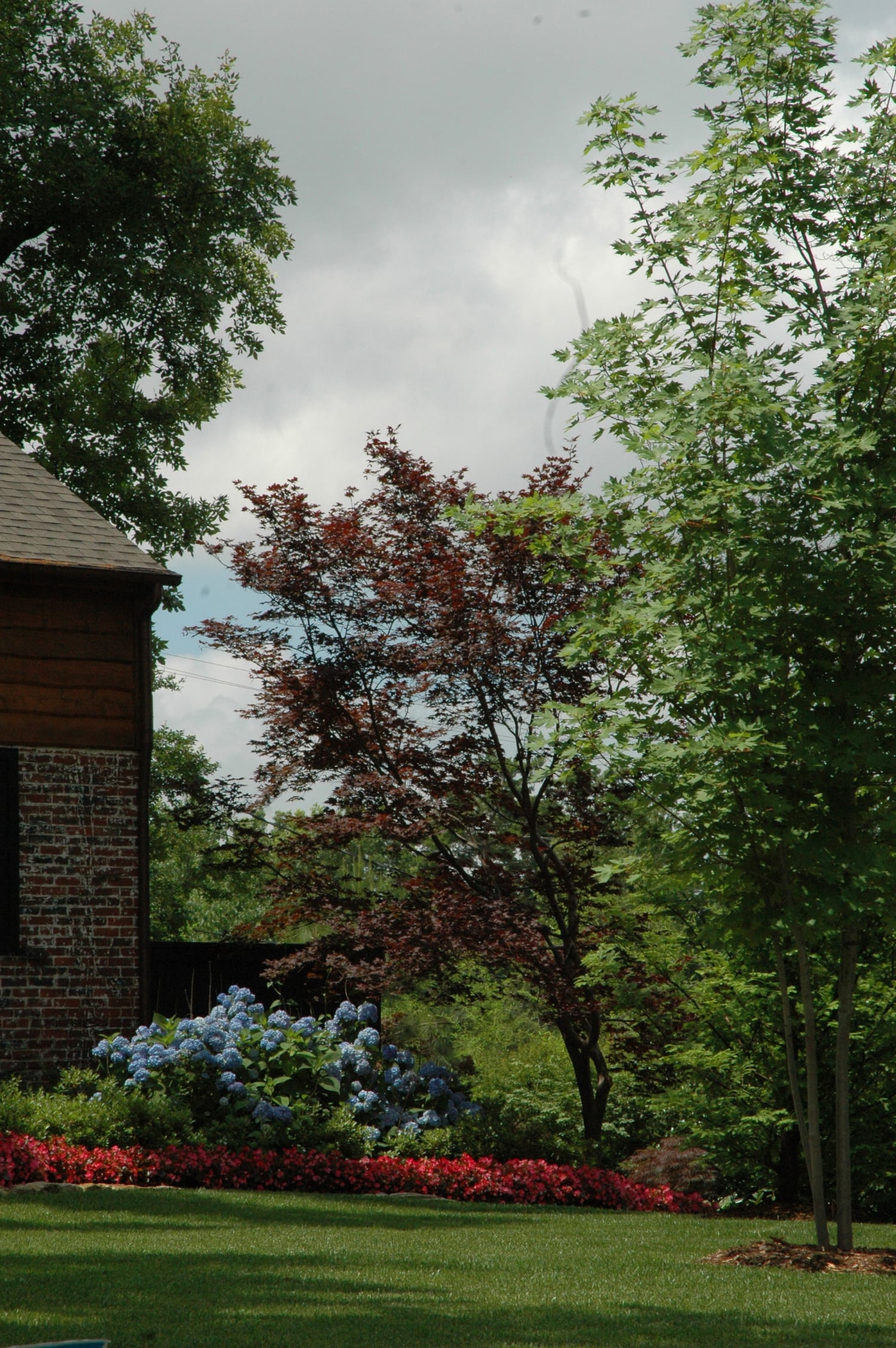 DSC_2458_edited-1.jpg