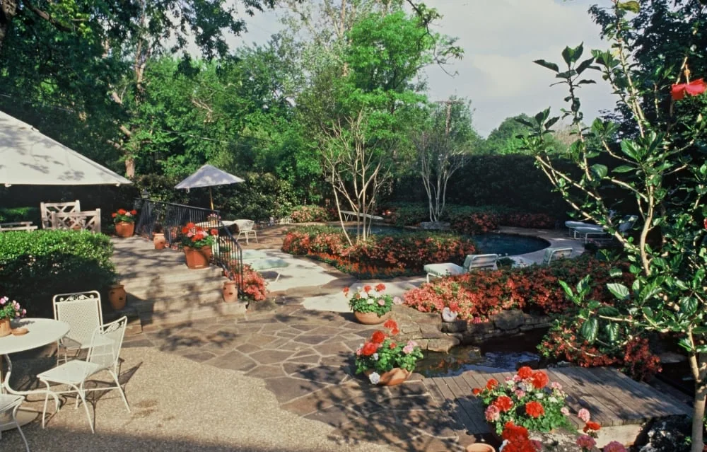 McClintock1_edited-1-1.jpg