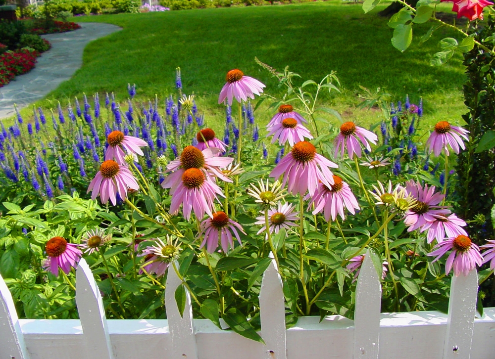 DSC00091_edited-1.jpg