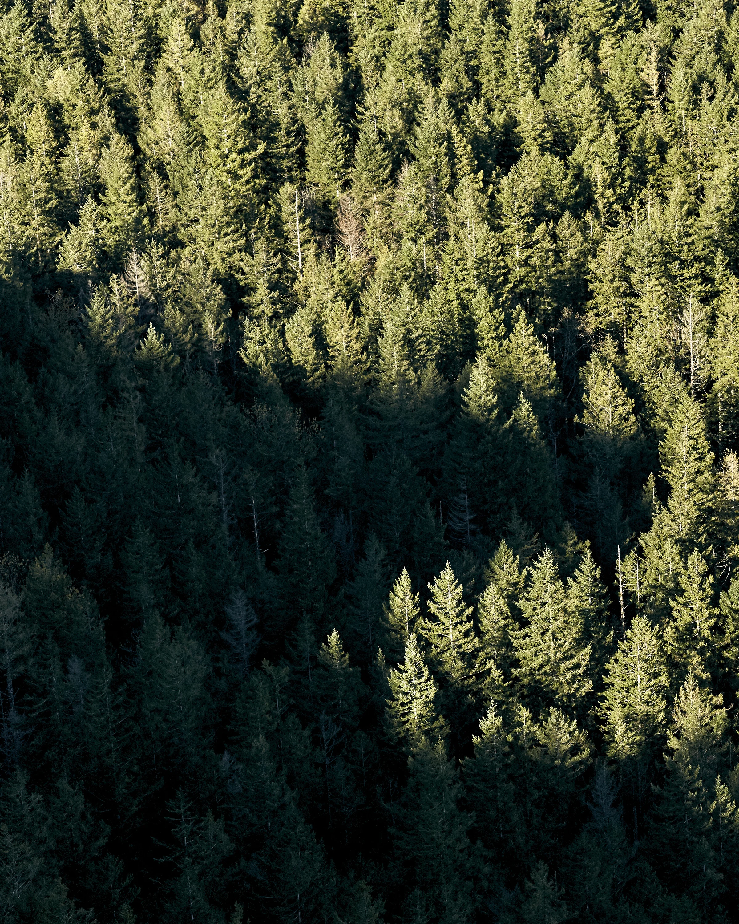 150406-pnw-washington-065-2.jpg