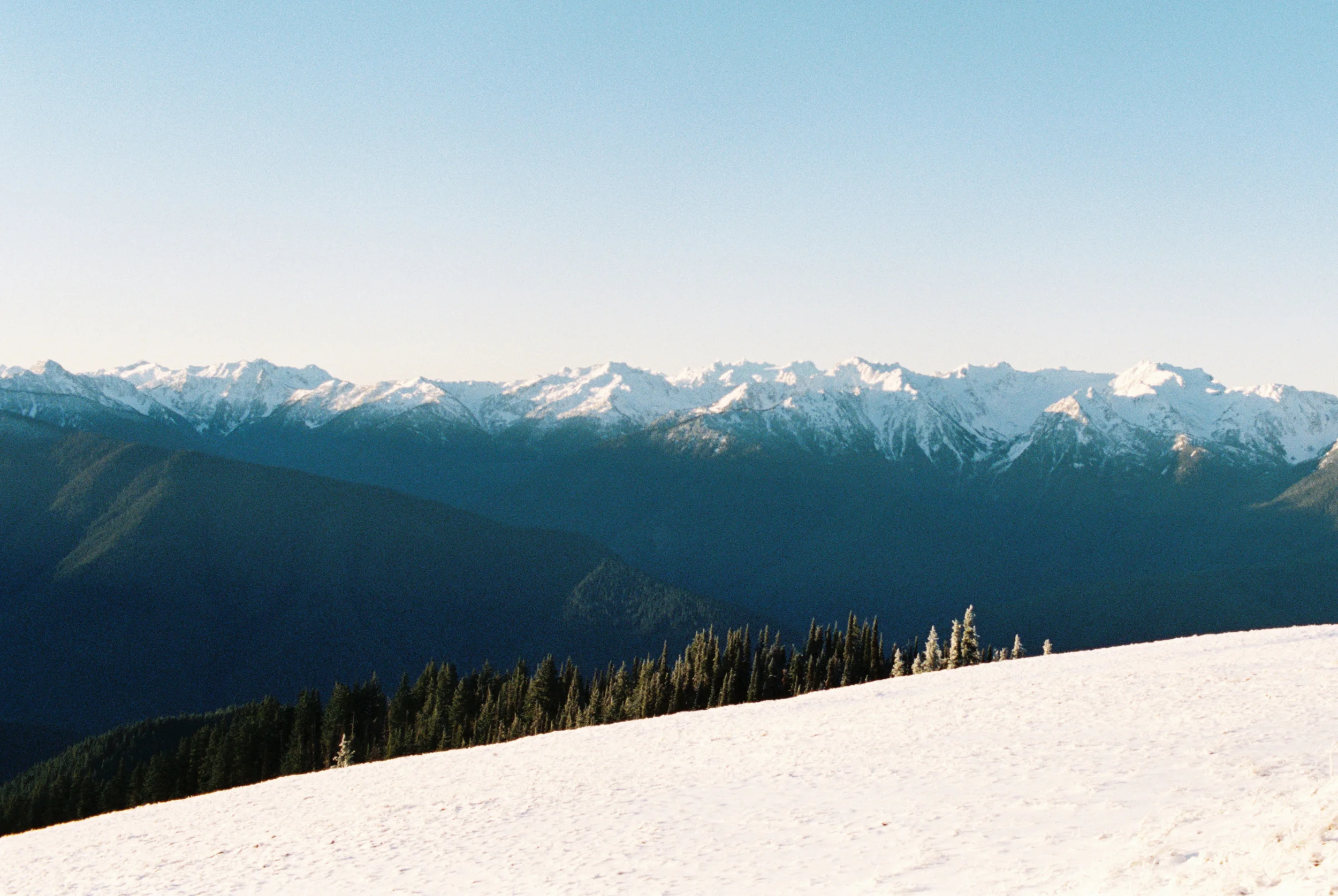 3729_07.jpg