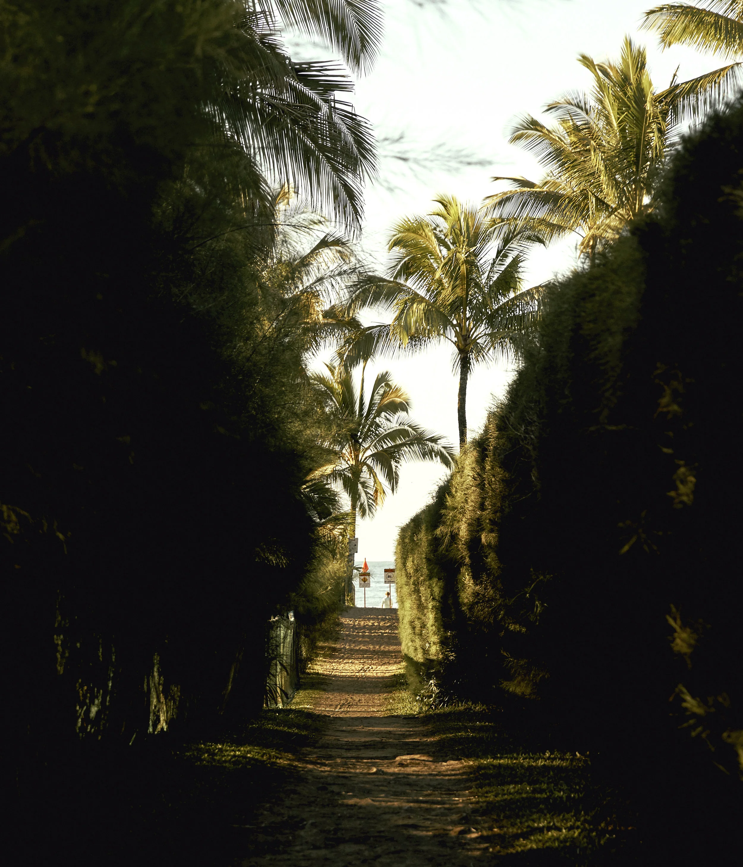 170120-kauai-004.jpg
