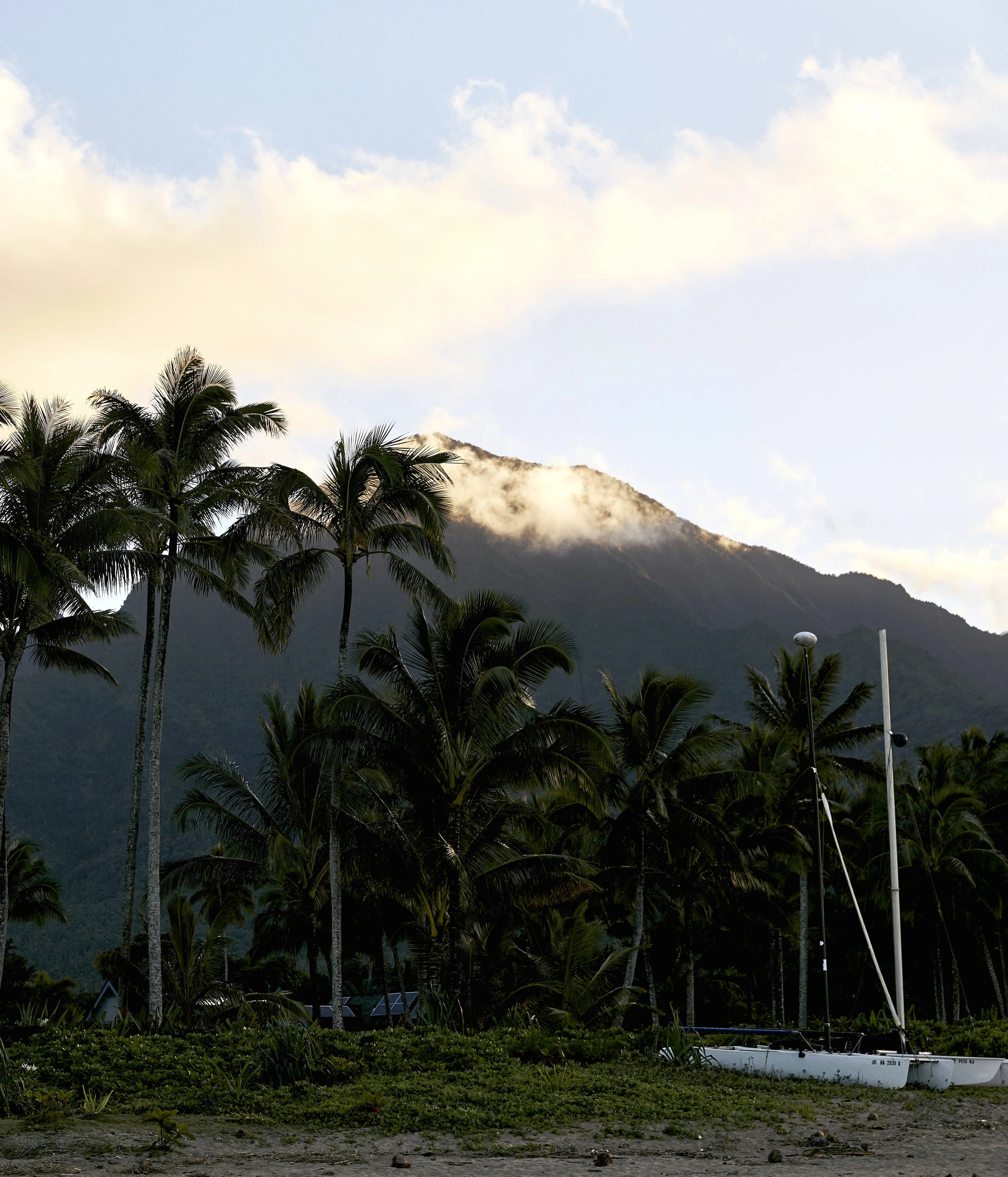 170120-kauai-021.jpg