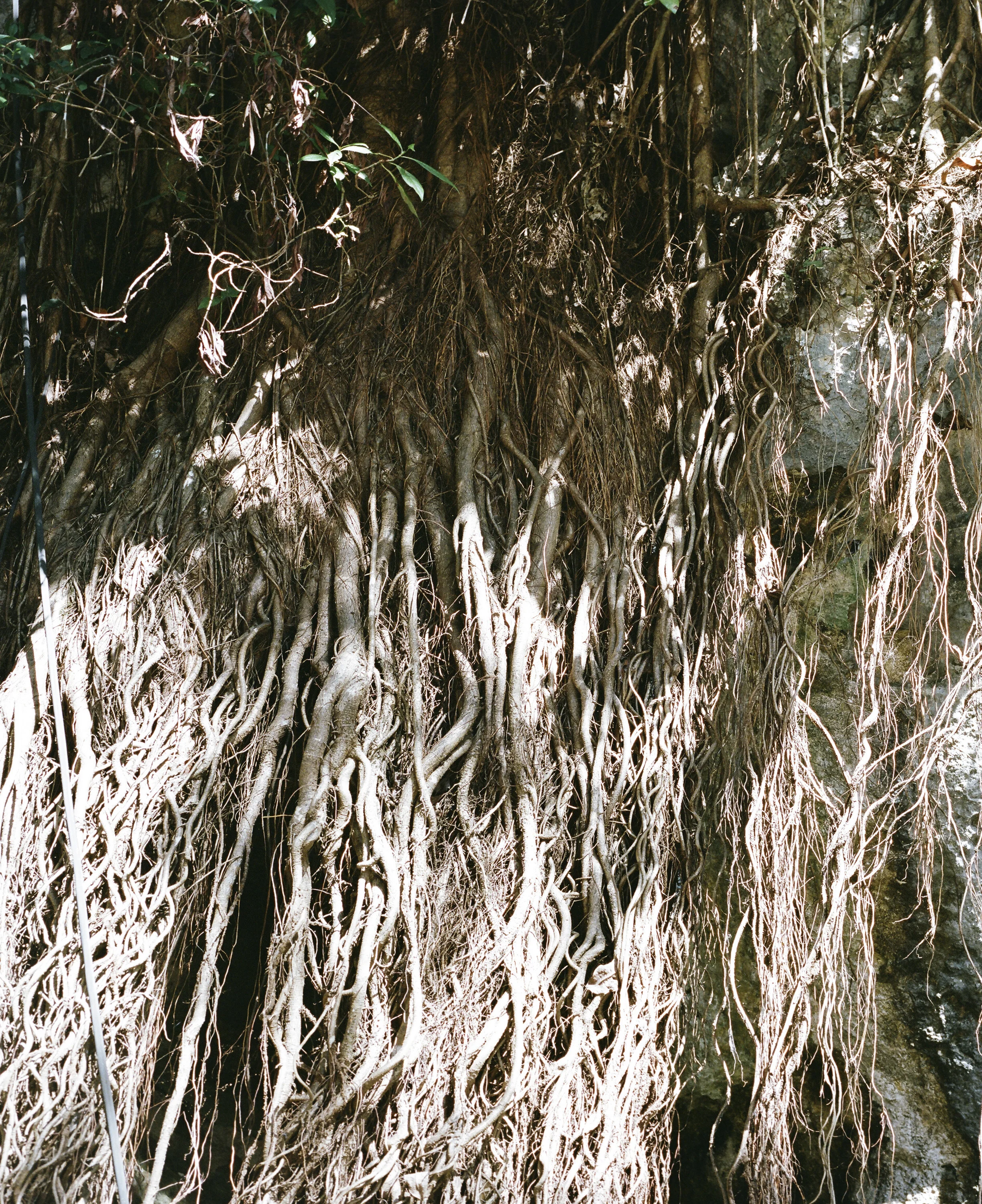 180102-tulum-film-021.jpg
