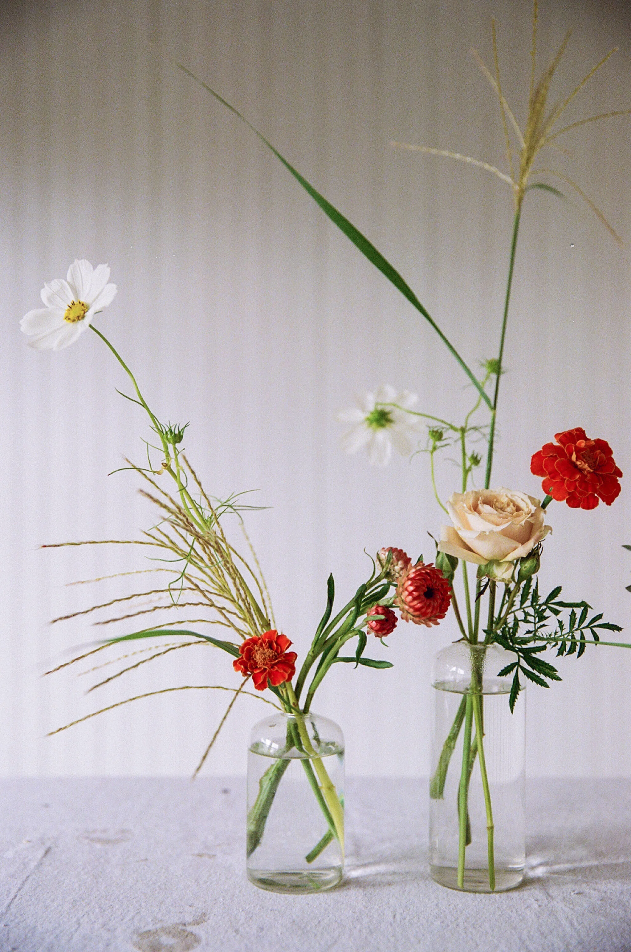 NANCYNEILPHOTOGRAPHY_VIVAVOCE_2019_0057.JPG