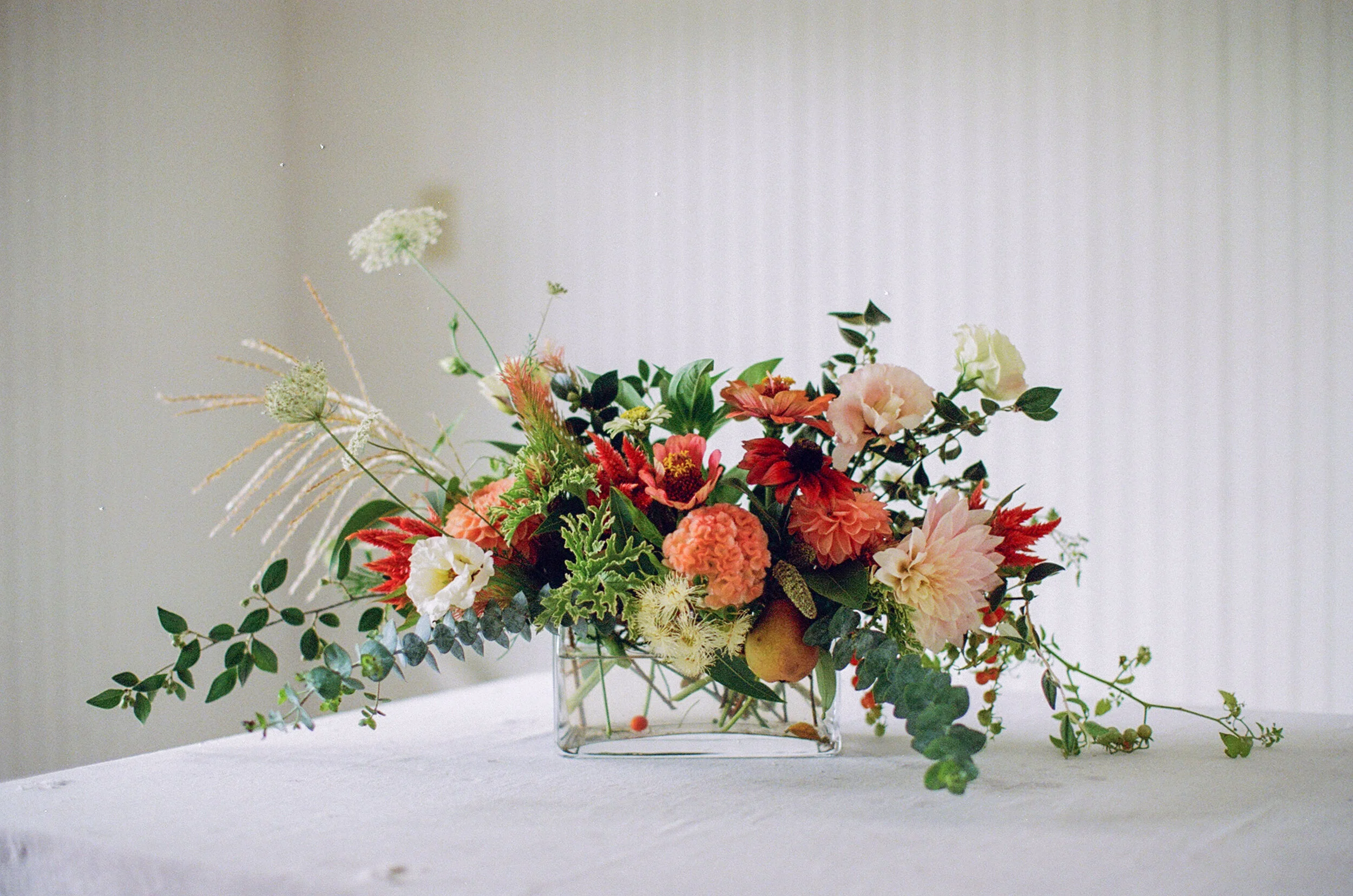 nancy neil long and low.JPG