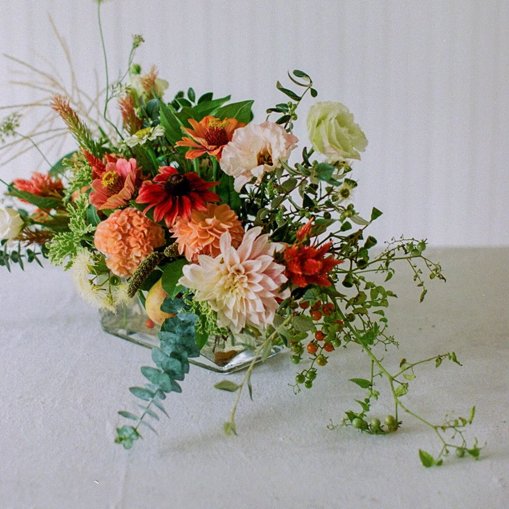 NANCYNEILPHOTOGRAPHY_VIVAVOCE_2019_0032.jpg